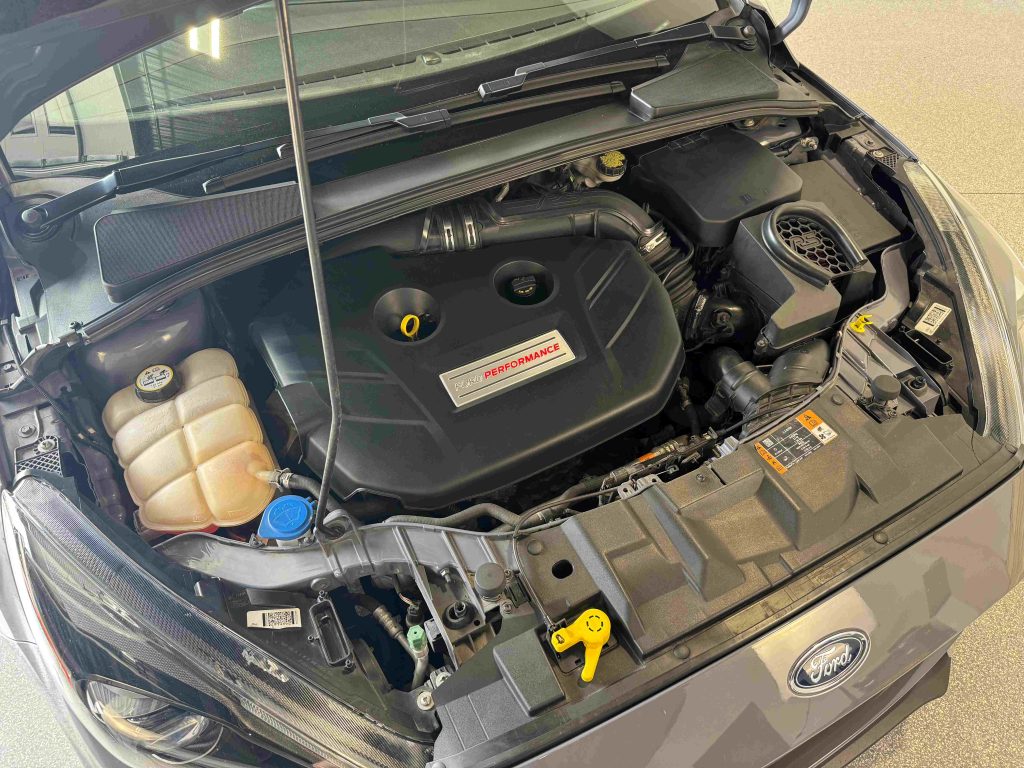 rs20